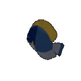 Blue Tang Fish